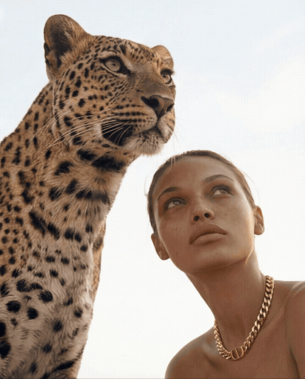 Dior campaign visual